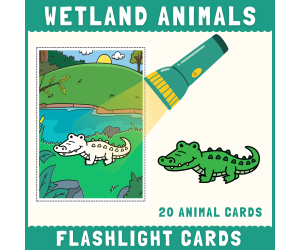 Wetland Habitat animals flashlight cards hidden picture activity