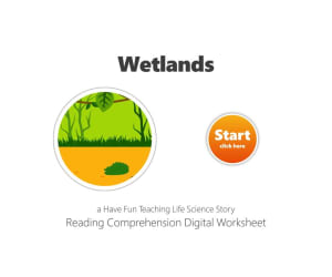 Wetlands Reading Comprehension Digital Worksheet