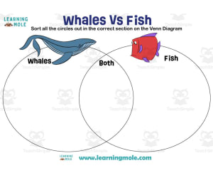 Whales vs Fish Activity