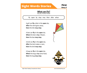 What Can Fly? First Sight Words Reading Comprehension Worksheet
