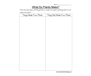 What Do Plants Make Worksheet
