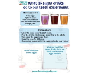 What Do Sugar Drinks Do To Our Teeth Experiment