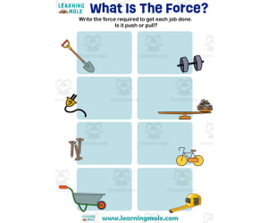What Is The Force Activity