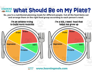 What Should Be on My Plate Activity