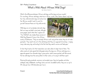 What's Wild About African Dogs Reading Comprehension Worksheet