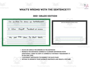 What's Wrong With the Sentence? | Grammar Worksheet Set for 3rd Grade