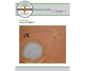 Why Extinction is Bad: Introduction to Extinction Lesson Plan (Digital & Print)