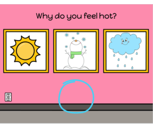 Why Questions Slides for Special Ed, Speech and Remote Learning