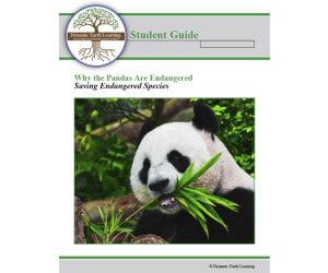 Why The Pandas Are Endangered: Digital Science Lesson & Worksheets