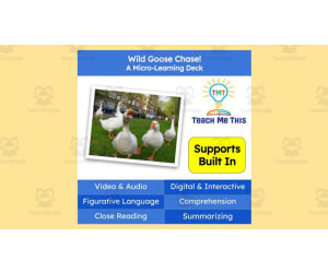 Wild Goose Chase! | Figurative Language Activity | Micro-Learning Deck