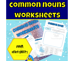 Winter common noun worksheet