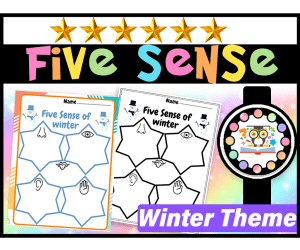 WInter Five Senses Worksheets Activities
