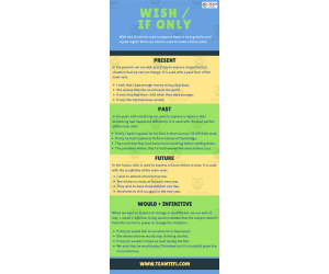 Wish/If Only Advanced ESL Lesson Plan