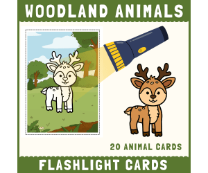 Woodland animals flashlight cards hidden picture science activity