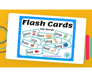 Word and Picture Flash Cards
