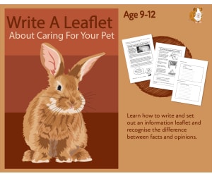 Write A Leaflet On Caring For Your Pet (9-12 years)