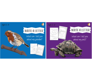 Write A Letter: Pack 3 (6-9 years)