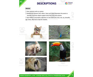 Writing Descriptions | Pre-Intermediate Lesson Plan