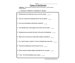 Writing Types of Sentences Worksheet
