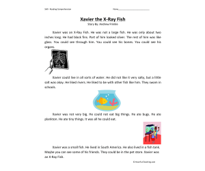 Xavier the Xray Fish Reading Comprehension Worksheet