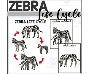 Zebra Life Cycle Poster and Sequencing Cards