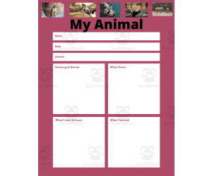 Zoo Animal Fact Sheet Packet