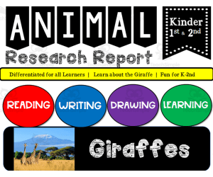 Zoo Animal Research Writing Project on GIRAFFES for K-2nd Grade