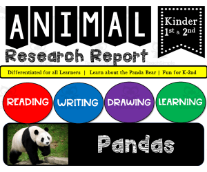 Zoo Animal Research Writing Project on PANDAS for K-2nd Grade