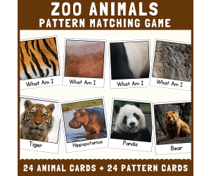 Zoo animal skin fur pattern matching cut match science activities