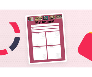 Zoology Bundle