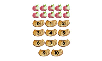 0-10 Apple Tactile Cards for Counting Numbers