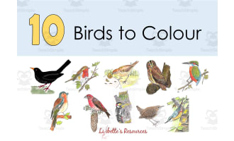 10 Birds to Colour