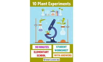 10 Plant Experiments for Elementary School