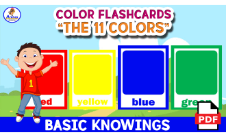 11 COLOR FLASHCARDS - With Names