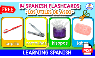 14 SPANISH FLASHCARDS | "Los útiles de aseo"