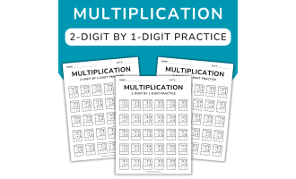 2 Digit by 1 Digit Multiplication WorksheetDouble Digit Multiplication