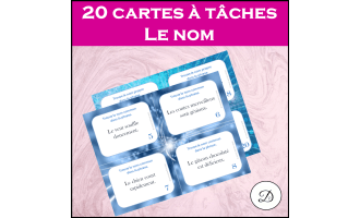 20 cartes à tâches - Le nom / FRENCH GRAMMAR TASK CARDS