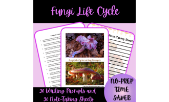 20 Fungi Life Cycle Writing Prompts & 20 Note-Taking Sheets