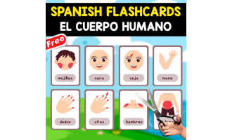 20 SPANISH FLASHCARDS | EL CUERPO HUMANO