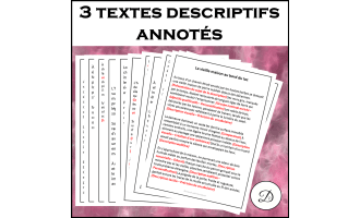 3 textes descriptifs annotés