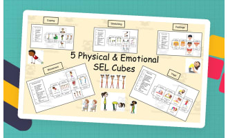 5 Physical & Emotional SEL Cubes