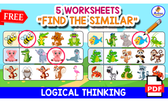 5 WORKSHEETS | Find the Similar