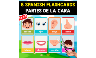 8 SPANISH FLASHCARDS | LAS PARTES DE LA CARA