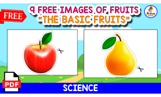 9 FREE IMAGES OF FRUITS | CUT AND PASTE