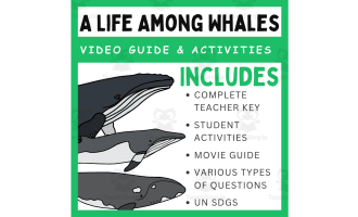 A Life Among Whales (2007): Complete Video Guide & Activities