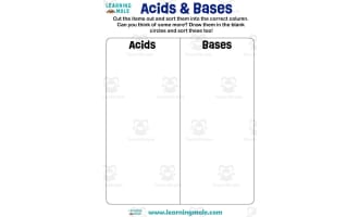 Acids and Bases Activity