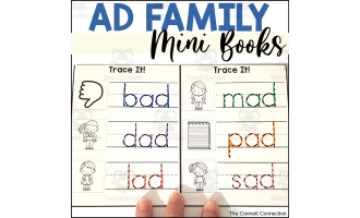 AD Word Family Foldable Mini Books
