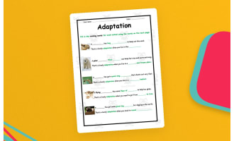 Adaptation Fill in the Blank Worksheet