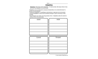 Animal Adaptations Worksheet – Physical and Behavioral