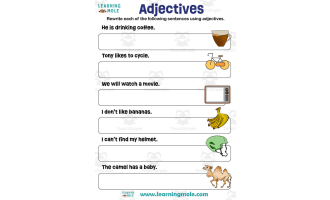 Adjectives Activity